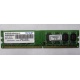 Модуль оперативной памяти 4Gb DDR2 Patriot PSD24G8002 pc-6400 (800MHz)  (Нефтекамск)