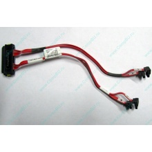 SATA-кабель для корзины HDD HP 451782-001 459190-001 для HP ML310 G5 (Нефтекамск)