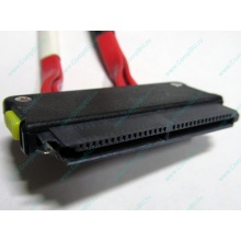 SATA-кабель для корзины HDD HP 451782-001 459190-001 для HP ML310 G5 (Нефтекамск)