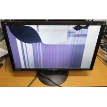 ViewSonic VA2413WM-2 разбитая матрица (Нефтекамск)