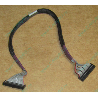 FDD-кабель HP 271946-006 для HP ML370 G3 G4 (Нефтекамск)