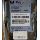Жёсткий диск 146.8Gb HP 365695-008 404708-001 BD14689BB9 256716-B22 MAW3147NC 10000 rpm Ultra320 Wide SCSI купить в Нефтекамске, цена (Нефтекамск).