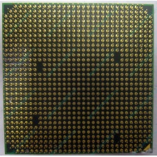 Процессор AMD Athlon 64300+ (1.8GHz) ADA3000IAA4CN s.AM2 (Нефтекамск)