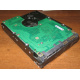 Жесткий диск 300Gb 15k Seagate Cheetach ST3300656SS 15K.6 Dell 9CH066-050 6G SAS (Нефтекамск)