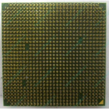 Процессор AMD Sempron 3000+ (1.6GHz) SDA3000IAA3CN s.AM2 (Нефтекамск)