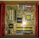 Материнская плата Asus P5L-VM 1394 s.775 (Нефтекамск)